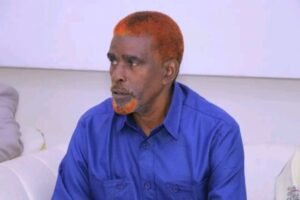 imagen de whatsapp 2025 11 08 a las 11.54.25 1fbad81a copy copy